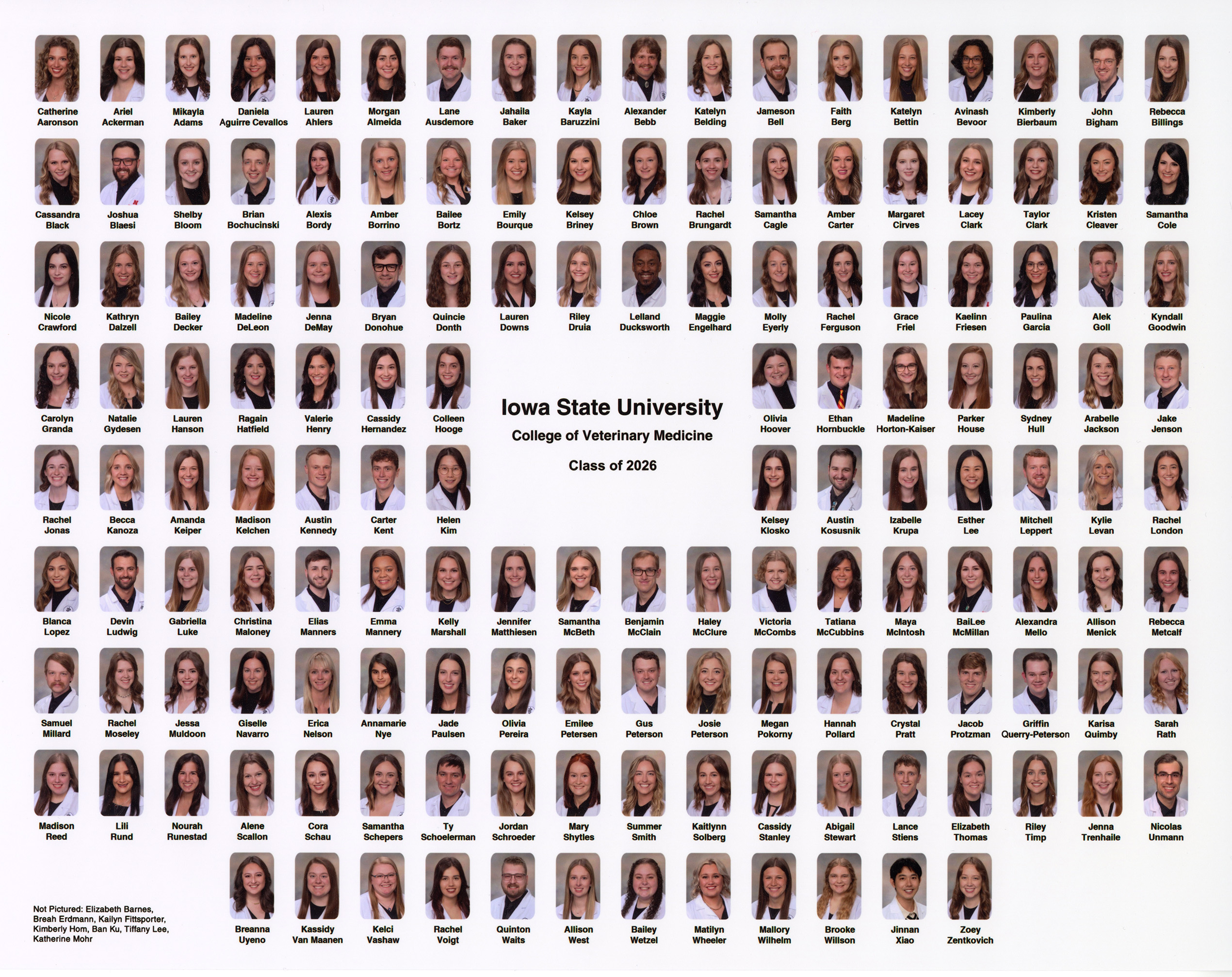 Class of 2026 photo composite